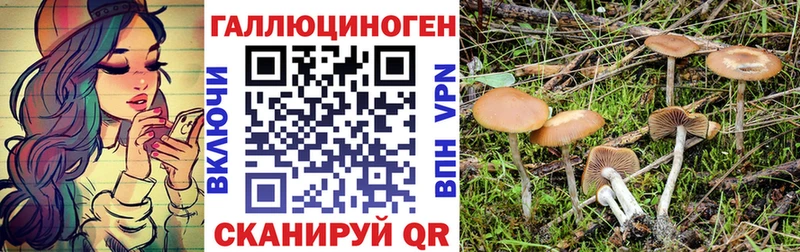 omg сайт  Городище  Псилоцибиновые грибы Cubensis 